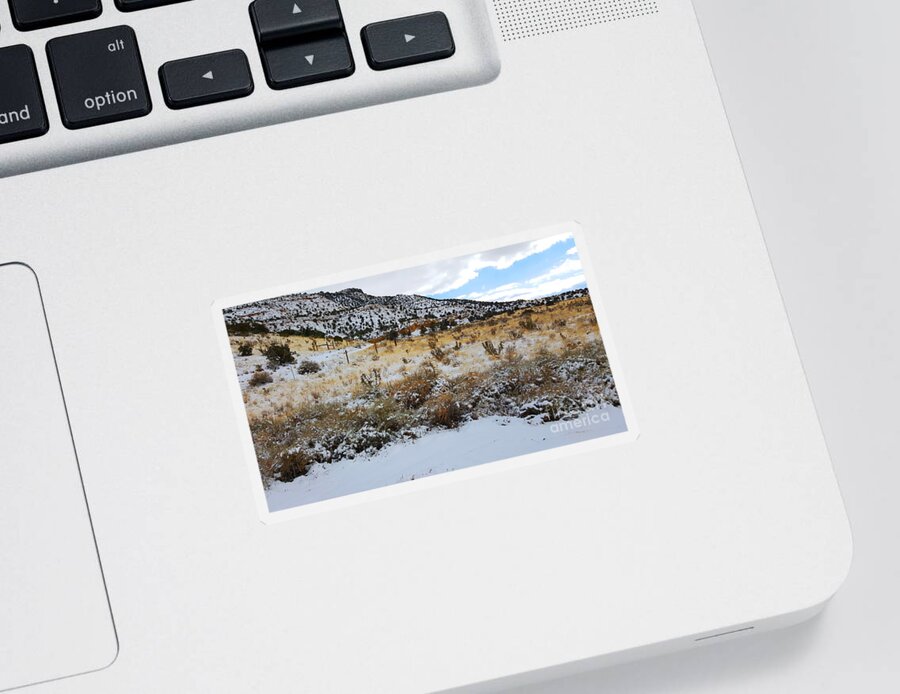 Southwest Landscape Sticker featuring the photograph Cactus in the snow by Robert WK Clark