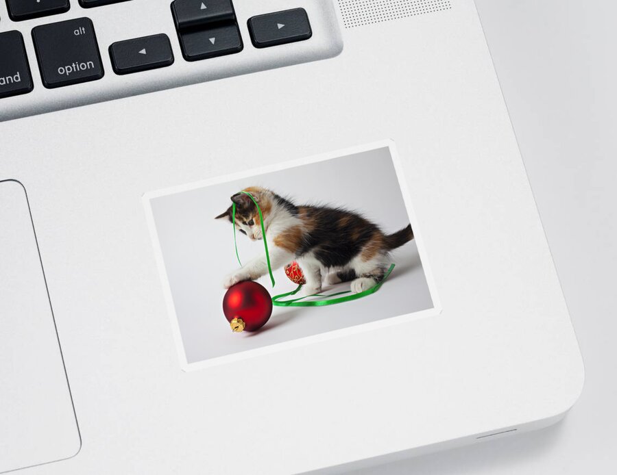 Calico Kitten Christmas Ornaments Sticker featuring the photograph Calico kitten and Christmas ornaments by Garry Gay