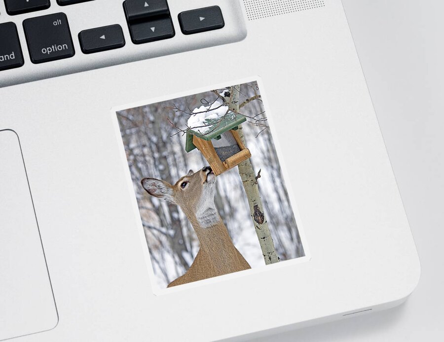 Deer Sticker featuring the photograph Call Me Tweety by Gary Beeler