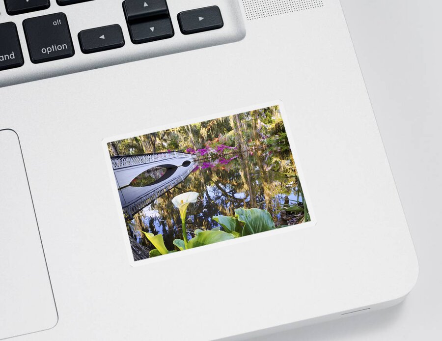 Landscape Sticker featuring the photograph Calla Lily by Jim Miller