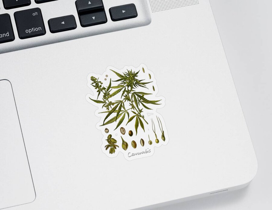 Marijuana Sticker featuring the digital art Cannabis by Justyna Jaszke JBJart