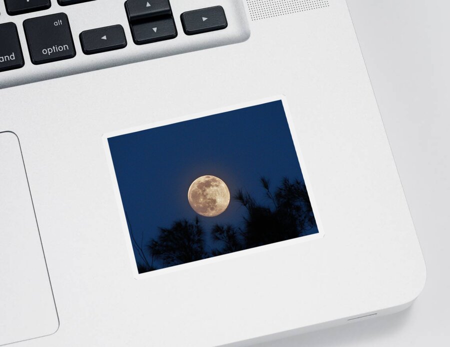 Moon Sticker featuring the photograph Capricorn Full Moon by Carl Moore