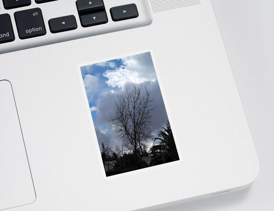 Landscape Sticker featuring the photograph Caught Between the Storms by Michele Myers