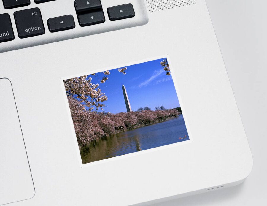 Scenic Sticker featuring the photograph Cherry Blossoms on the Tidal Basin 15J by Gerry Gantt