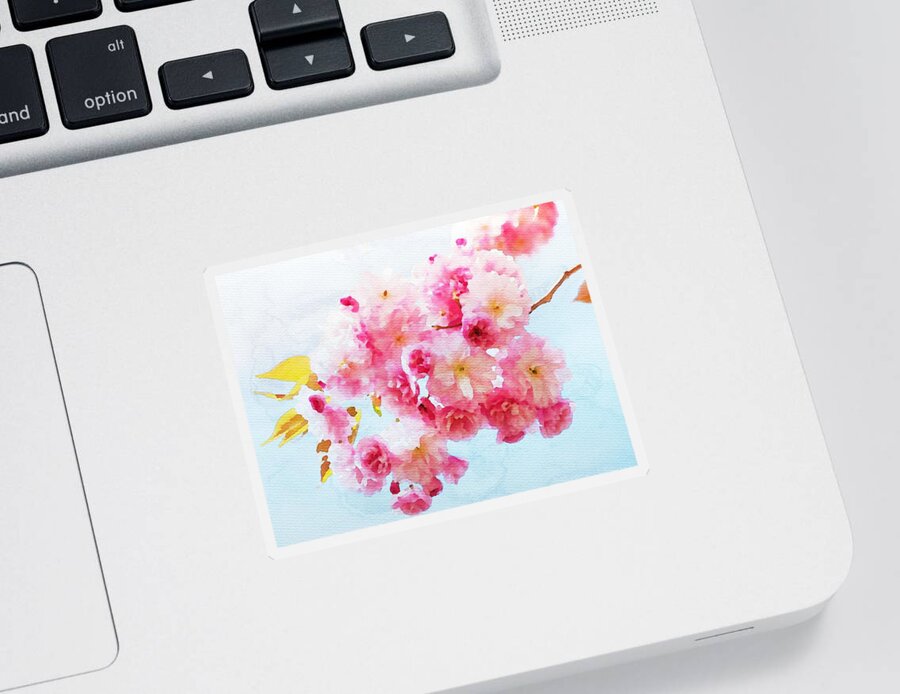 Cherry Blossoms Sticker featuring the painting Cherry Blossoms by Watercolor