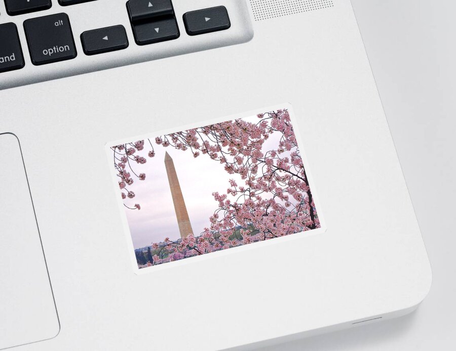 Washington Sticker featuring the photograph Cherry Washington by Olivier Le Queinec