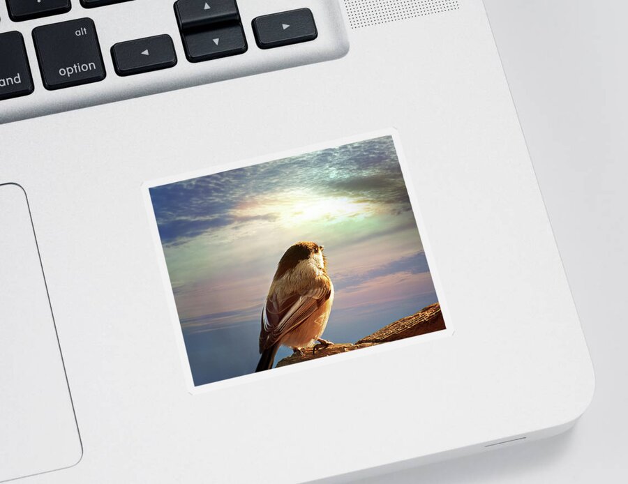 Chickadee Print Sticker featuring the photograph Chickadee Sunrise by Gwen Gibson