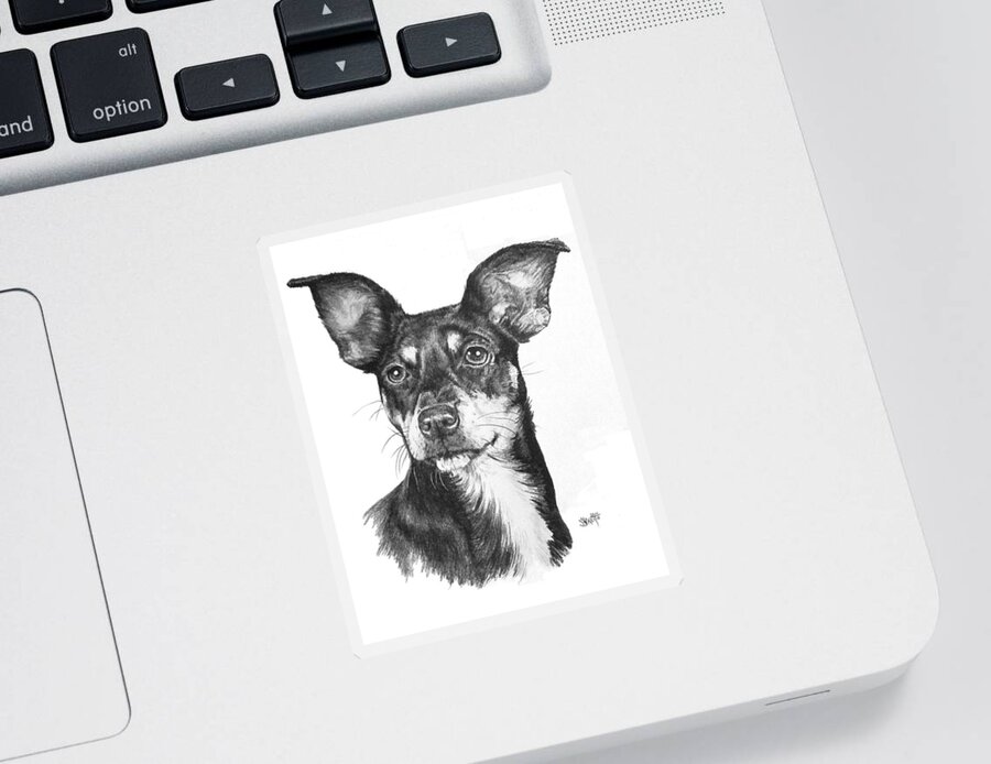 Designer Dog Sticker featuring the drawing Chiweenie by Barbara Keith