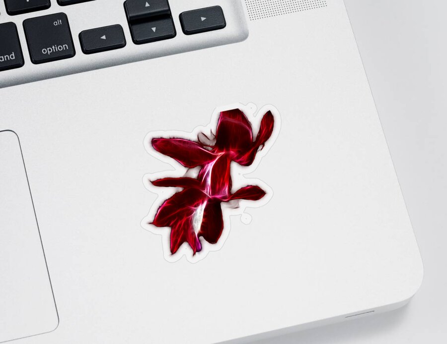 Christmas Cactus Flower Sticker featuring the photograph Christmas Cactus Flower by Shane Bechler
