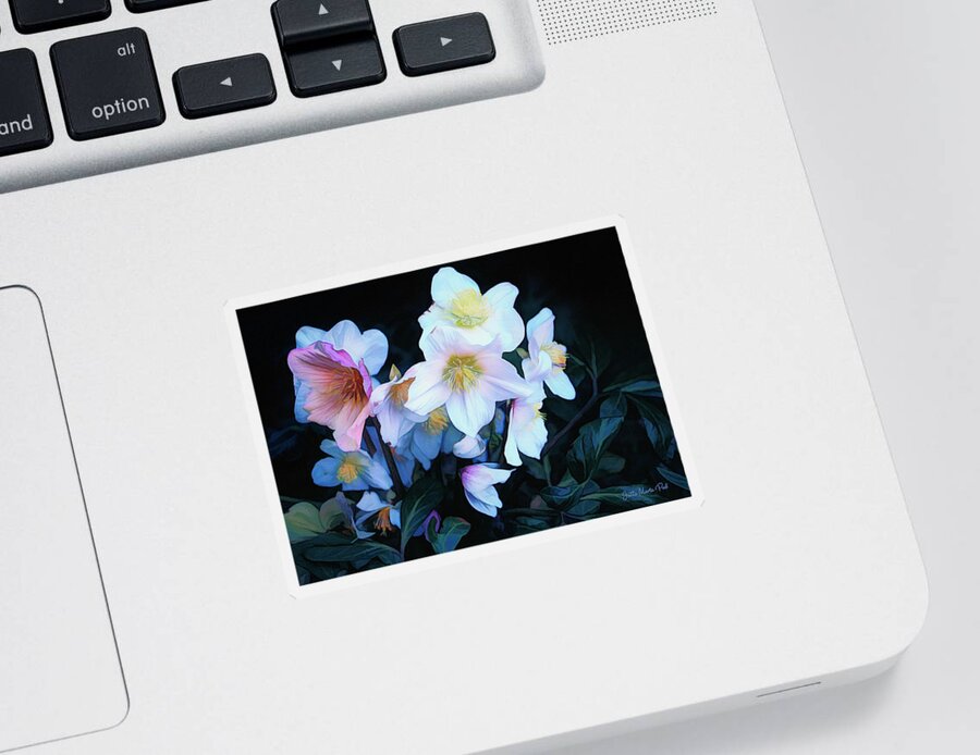 Photo Sticker featuring the photograph Christmas Rose by Jutta Maria Pusl