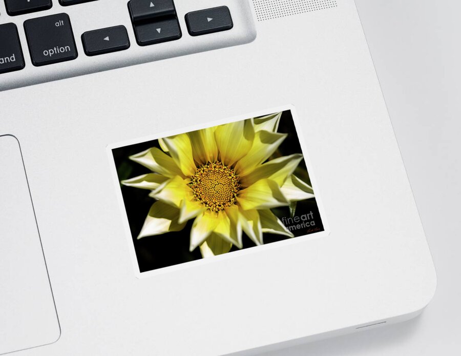 Flower Sticker featuring the photograph Chrysanthos by Linda Lees