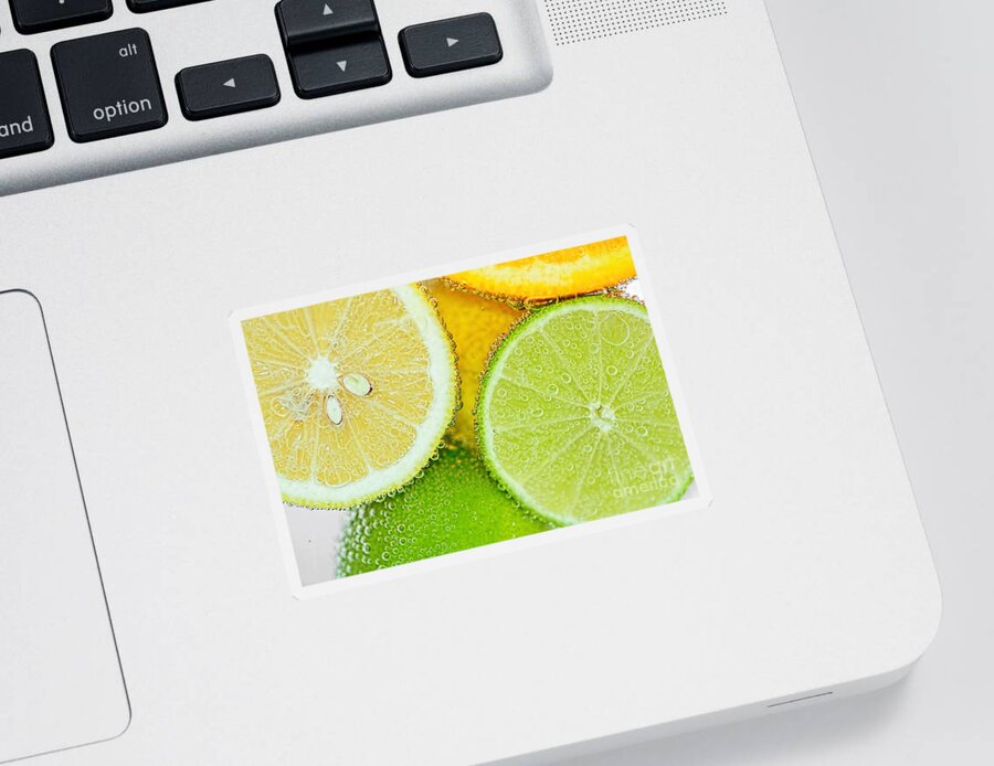 Citrus Fresh Sticker featuring the photograph Citrus Fresh by Kaye Menner by Kaye Menner