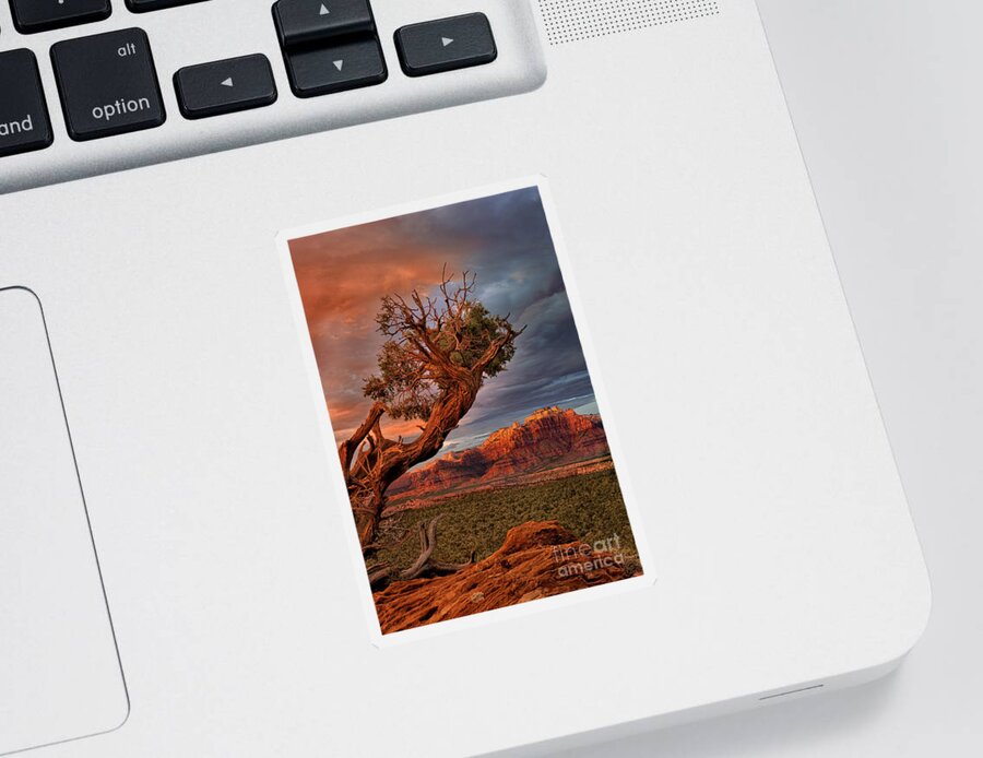 Dave Welling Sticker featuring the photograph Clearing Storm And West Temple South Of Zion National Park by Dave Welling