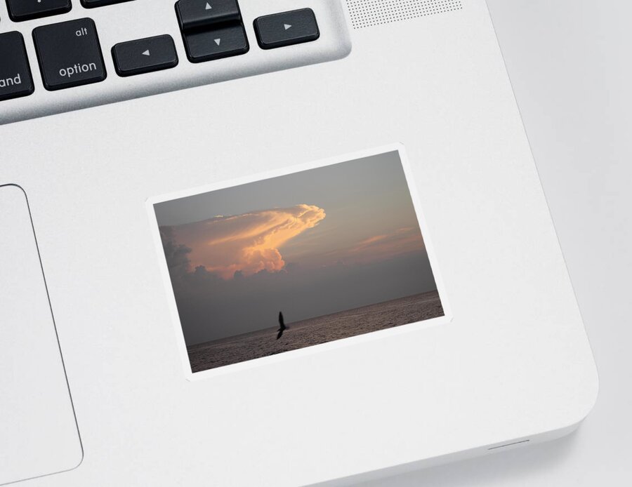 Clouds Sticker featuring the photograph Clouds Signalling Dawn by Robert Banach