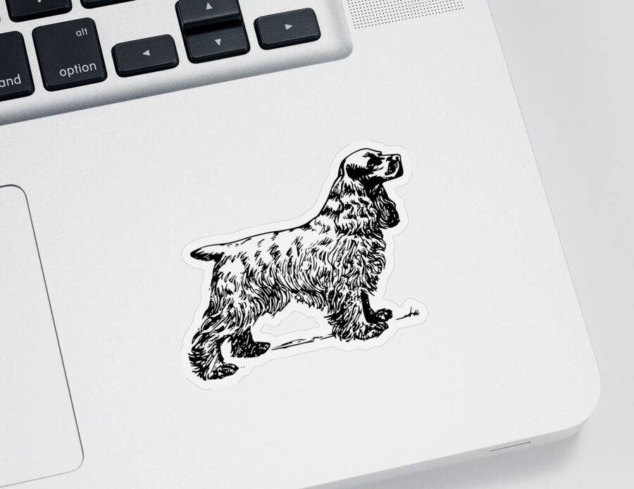 Cocker Spaniel Sticker featuring the photograph Cocker Spaniel by Movie Poster Prints