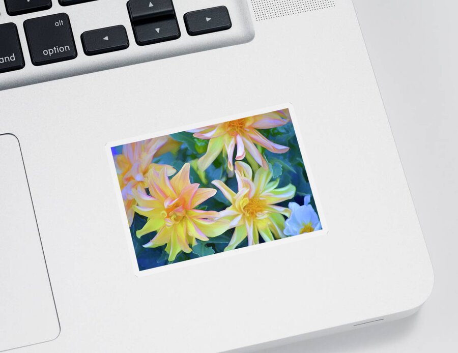 Floral Sticker featuring the photograph Color 154 by Pamela Cooper