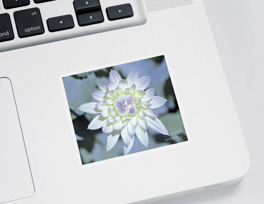 Flowers Sticker featuring the photograph Color Me by Merle Grenz