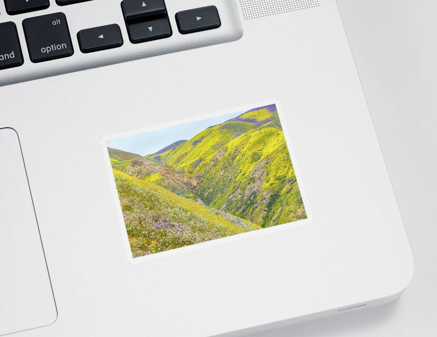 California Sticker featuring the photograph Colorful Canyon by Marc Crumpler