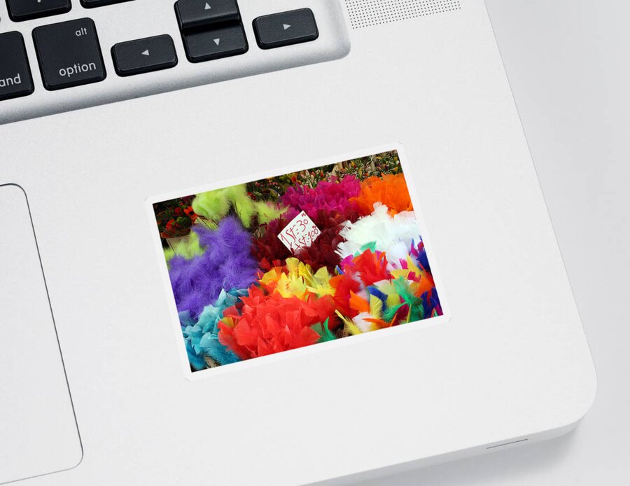 Stockholm Sticker featuring the photograph Colorful Easter Feathers by Linda Woods