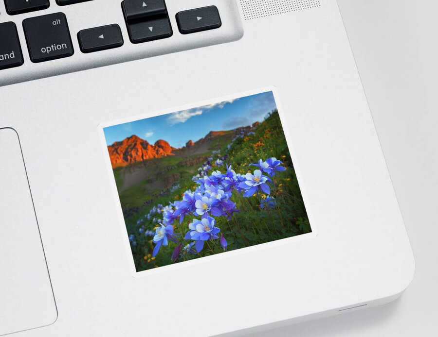 Colorado Sticker featuring the photograph Columbine Sunrise by Darren White