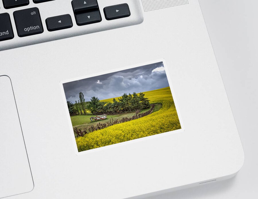 Canola Sticker featuring the photograph Combine by the Canola by Brad Stinson