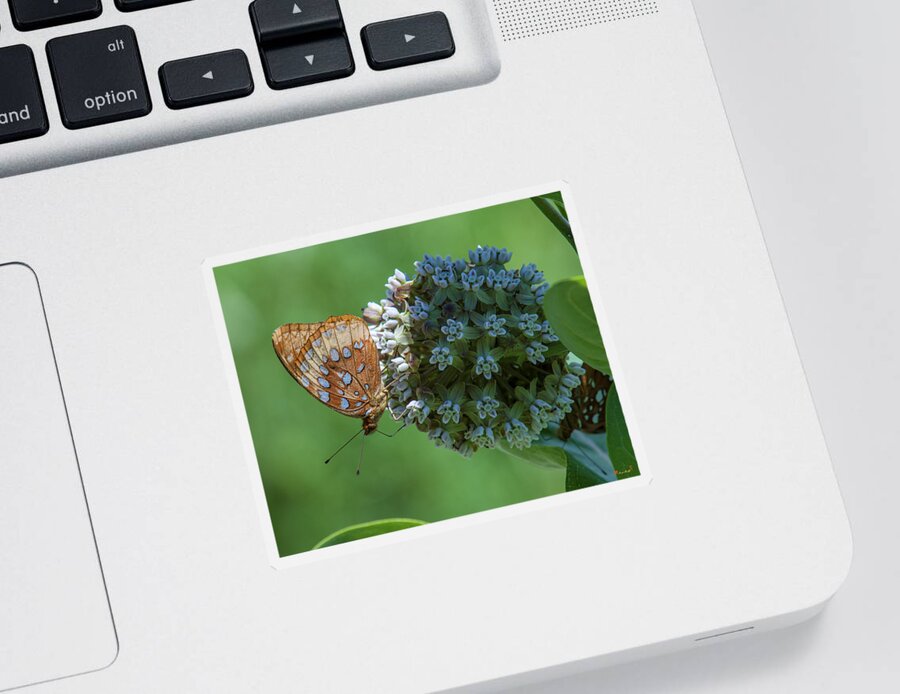 Nature Sticker featuring the photograph Common Milkweed and Great Spangled Fritillary DSMF0261 by Gerry Gantt