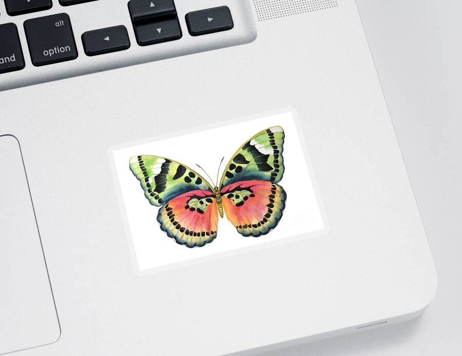 Butterflies Sticker featuring the painting Common Pink Forester by Lucy Arnold