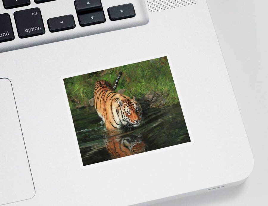 Tiger Sticker featuring the painting Cool by David Stribbling