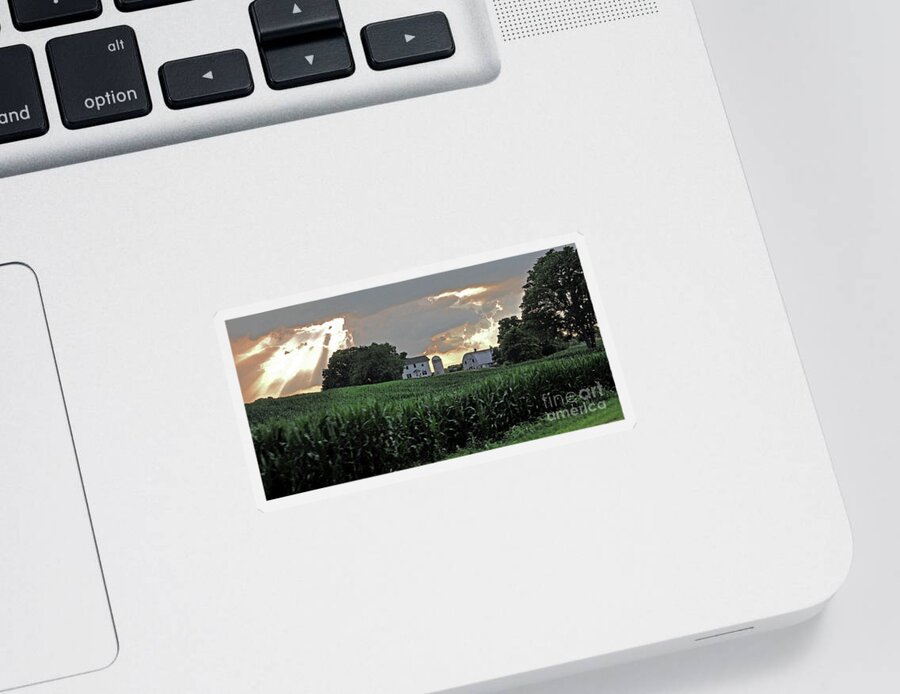 Farm Sticker featuring the photograph Corn After The Storm by Lydia Holly