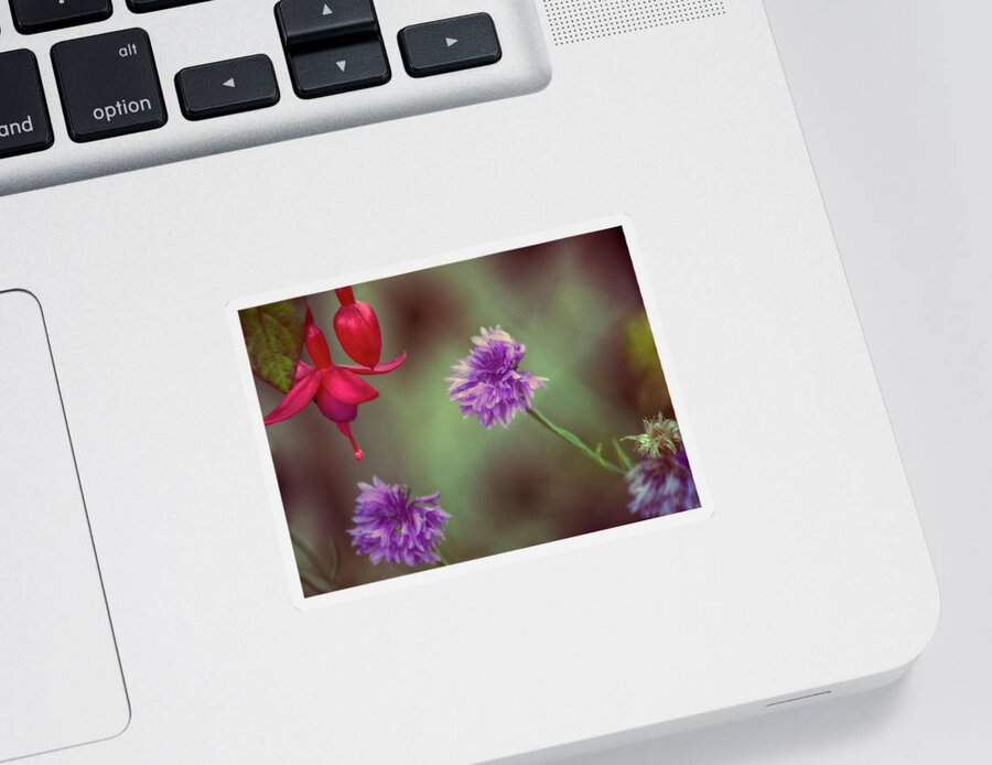 Nature Prints Sticker featuring the photograph Cornflowers and Fuschia by Bonnie Bruno