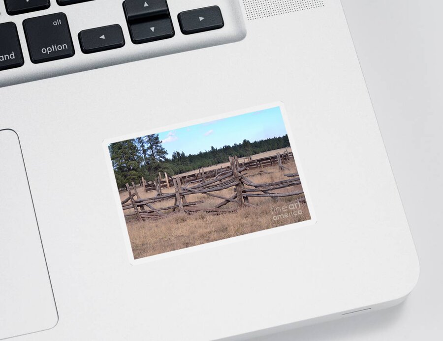 Ponderosa Pines Sticker featuring the photograph Corral by Debby Pueschel