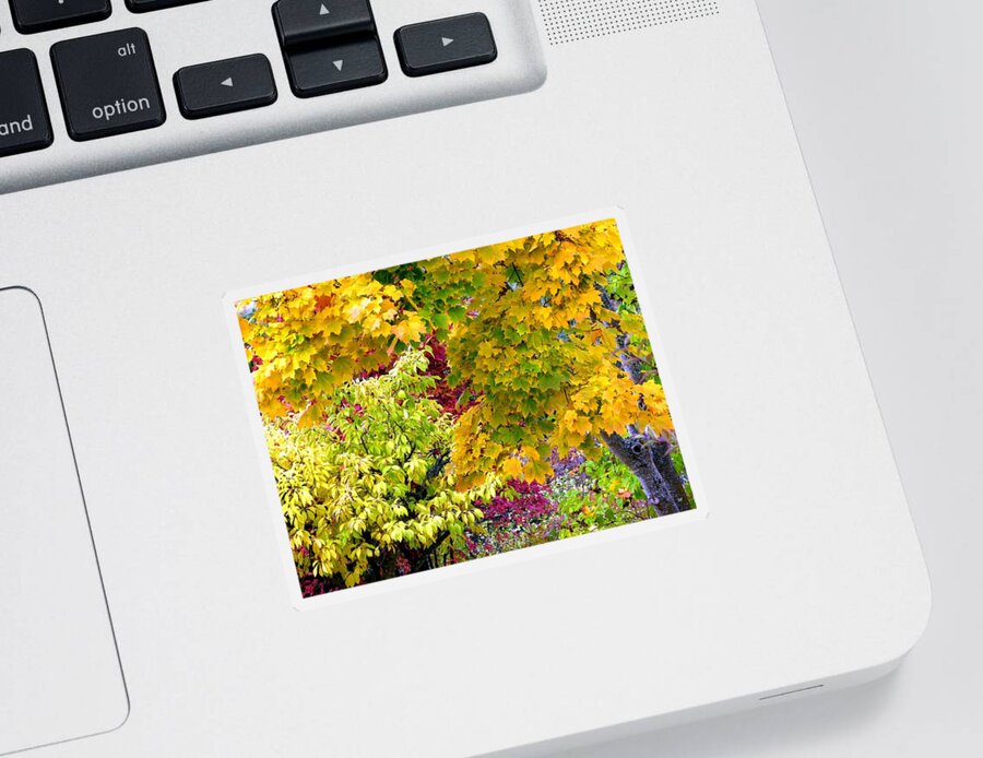 Autumn Sticker featuring the photograph Country Color 15 by Will Borden