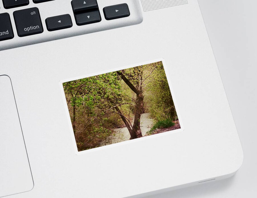 Dreamy Sticker featuring the photograph Cozy Stream in American Fork Canyon Utah by Colleen Cornelius