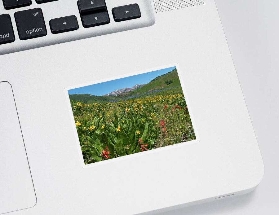 Crested Butte Sticker featuring the photograph Crested Butte Wildflower Meadow and Mountains by Cascade Colors