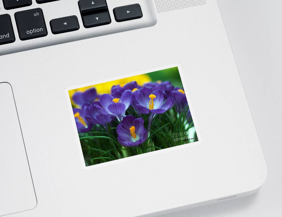 Flowers Sticker featuring the painting Crocus by Amalia Suruceanu