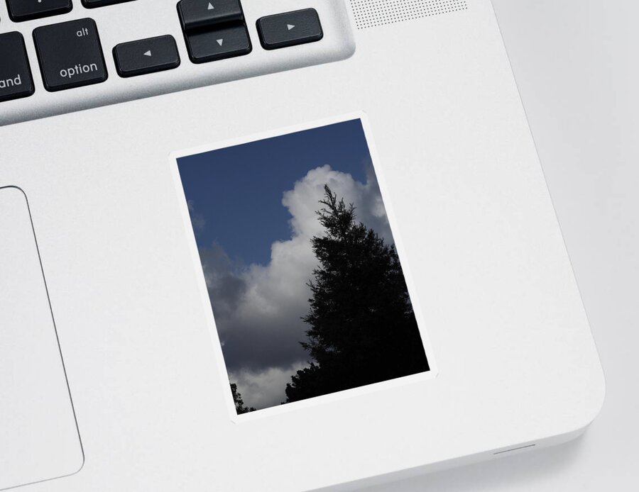  Sticker featuring the photograph Cumulus 20 and Tree by Richard Thomas