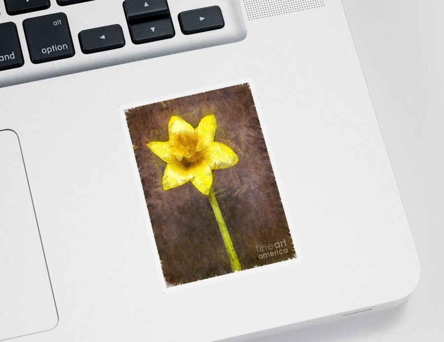 Spring Sticker featuring the photograph Daffodil Pencil by Edward Fielding