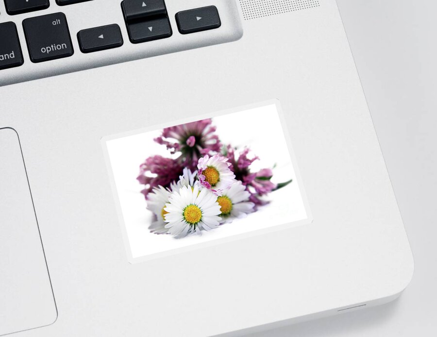 Wild Flowers Sticker featuring the photograph Daisies in Clover by Terri Waters