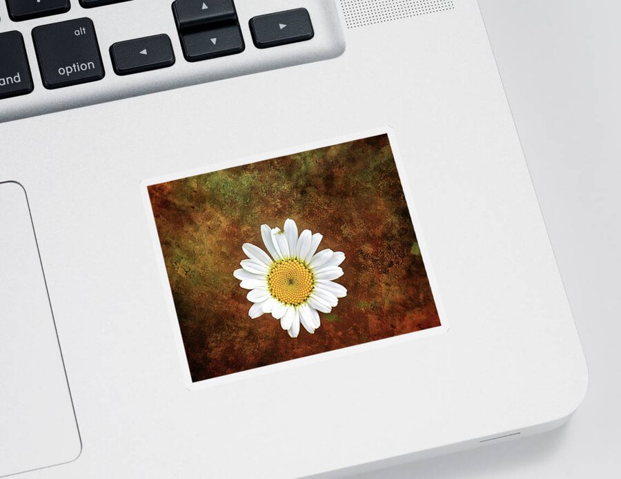 Daisy Flower Photography Sticker featuring the photograph Daisy Bug Photo Bomb Wall Art by Gwen Gibson