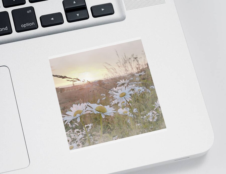 Daisies With The Setting Sun Sticker featuring the digital art Daisy Sunset by Catherine Avilez