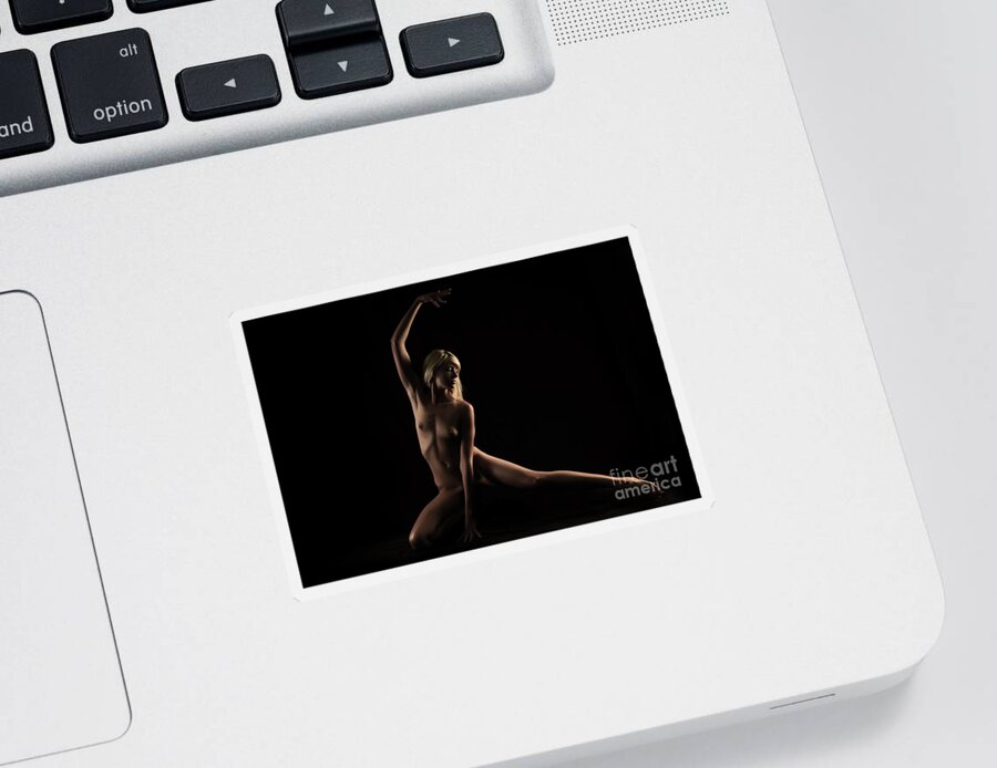 Artistic Photographs Sticker featuring the photograph Dance in solitary by Robert WK Clark
