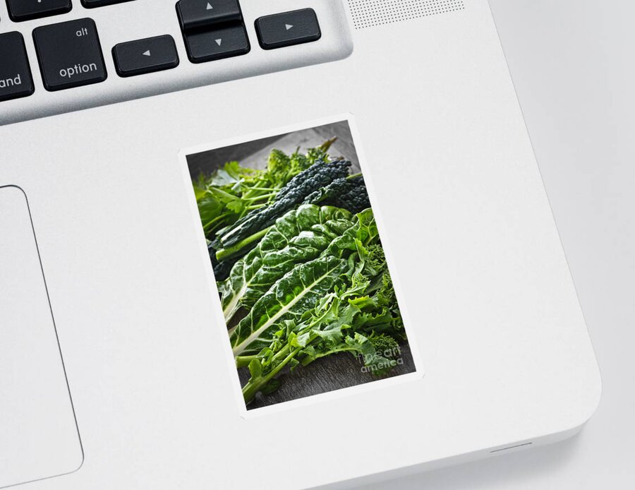 Dark Green Sticker featuring the photograph Dark green leafy vegetables by Elena Elisseeva