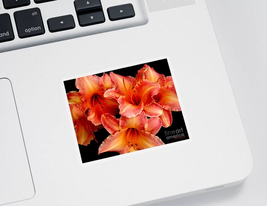 Daylily Sticker featuring the photograph Daylilies 1 by Rose Santuci-Sofranko