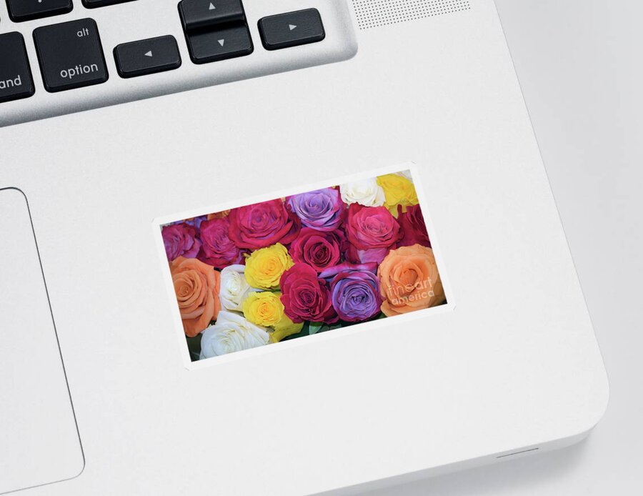 Roses Sticker featuring the photograph Decorative WallArt Brilliant Roses Photo B41217 by Mas Art Studio