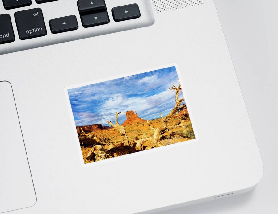 Monument Valley Sticker featuring the photograph Desert Life IV by Raul Rodriguez