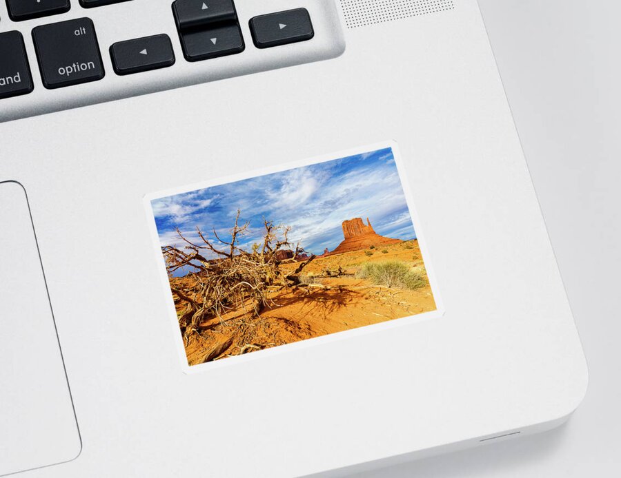 Monument Valley Sticker featuring the photograph Desert Life by Raul Rodriguez