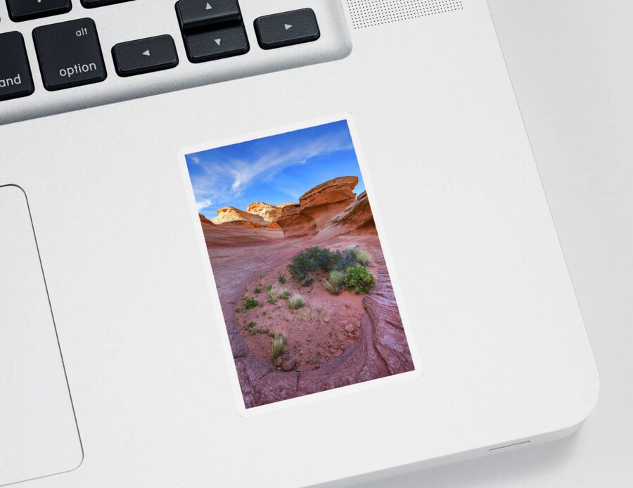Desert Sticker featuring the photograph Desert Oasis by Darren White