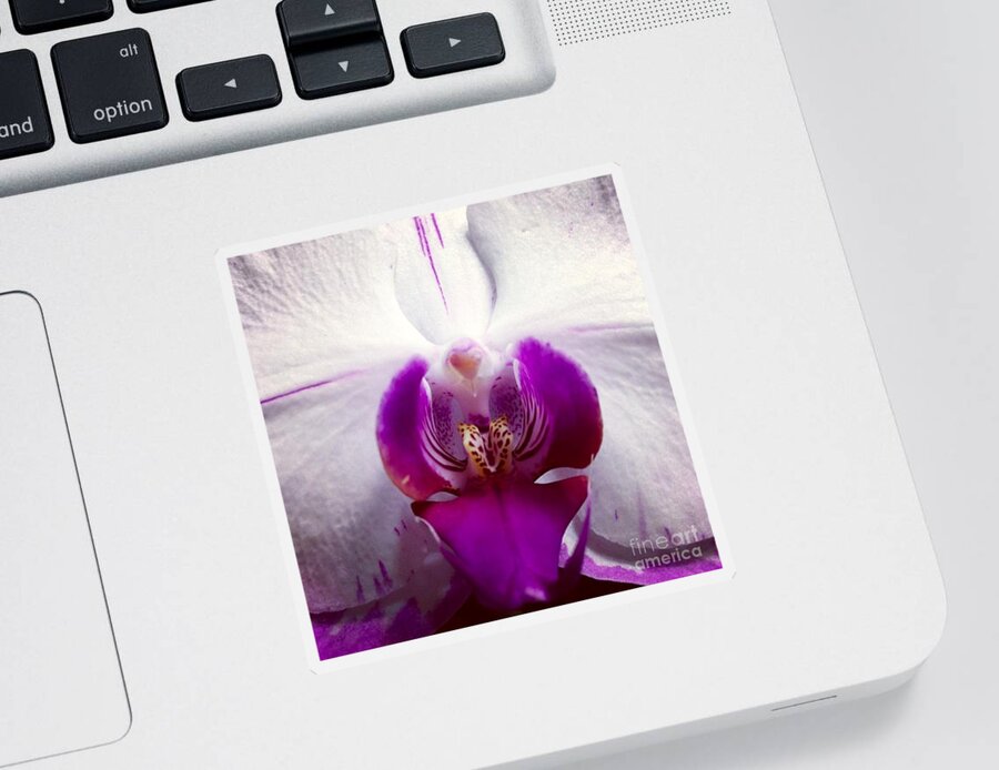 Orchid Sticker featuring the photograph Love by Denise Railey
