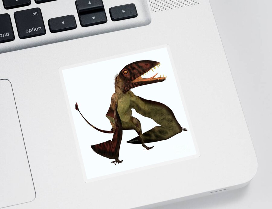 Dimorphodon Sticker featuring the painting Dimorphodon Pterosaur by Corey Ford