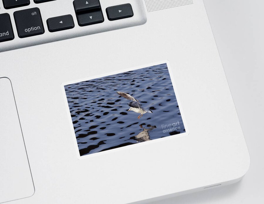 Snapshot Sticker featuring the photograph Ditching by Michal Boubin